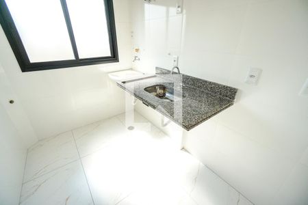 Pia de apartamento para alugar com 2 quartos, 50m² em Vila Matilde, São Paulo