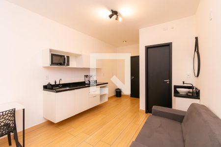 Studio de kitnet/studio para alugar com 1 quarto, 30m² em Quinta da Paineira, São Paulo
