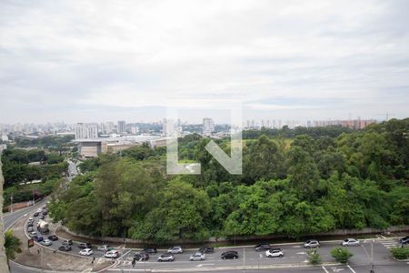 Vista Quarto 2 de apartamento para alugar com 2 quartos, 45m² em Jardim Iris, São Paulo