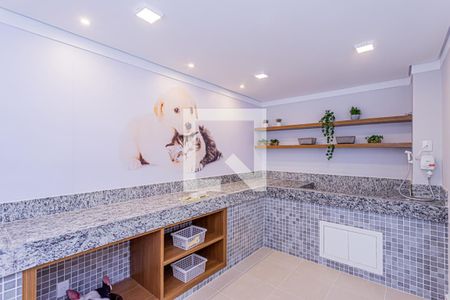 Apartamento para alugar com 33m², 2 quartos e sem vaga Apartamento para alugar com 33m², 2 quartos e sem vagaPet care