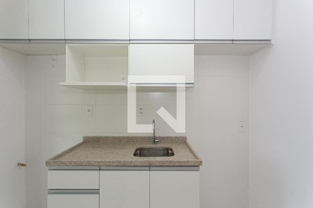 Cozinha - Armários de apartamento à venda com 2 quartos, 65m² em Vila Zilda, São Paulo