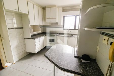 Cozinha - Armários de apartamento para alugar com 3 quartos, 127m² em Vila Progredior, São Paulo
