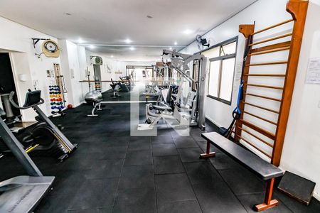 Área comum - Academia de apartamento para alugar com 3 quartos, 127m² em Vila Progredior, São Paulo