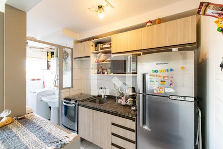 Cozinha de apartamento para alugar com 2 quartos, 50m² em Vila Santa Catarina, São Paulo
