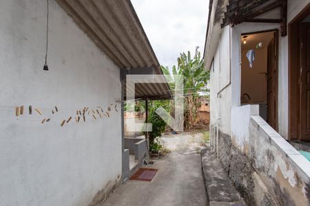 Casa para alugar com 500m², 6 quartos e 3 vagasQuintal