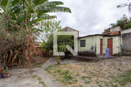 Casa para alugar com 500m², 6 quartos e 3 vagasQuintal