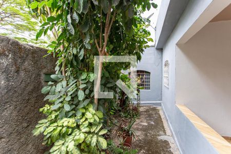 Casa para alugar com 500m², 6 quartos e 3 vagasVaranda