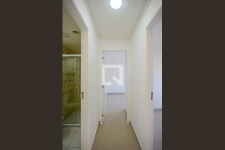 Corredor de apartamento para alugar com 2 quartos, 44m² em Vila Pirituba, São Paulo