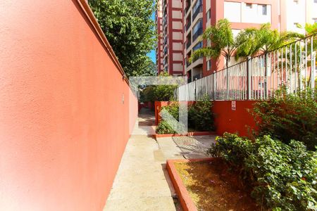 Apartamento à venda com 50m², 2 quartos e 1 vaga Apartamento à venda com 50m², 2 quartos e 1 vagaÁrea Pet