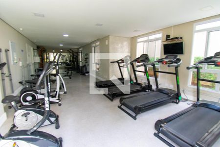 Apartamento para alugar com 54m², 2 quartos e 1 vaga Apartamento para alugar com 54m², 2 quartos e 1 vagaÁrea comum - Academia