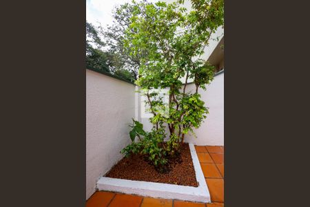 Casa para alugar com 160m², 2 quartos e 1 vagaQuintal