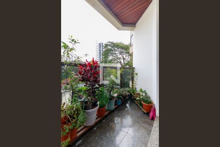 Sala - Varanda 1 de apartamento à venda com 3 quartos, 180m² em Vila Congonhas, São Paulo