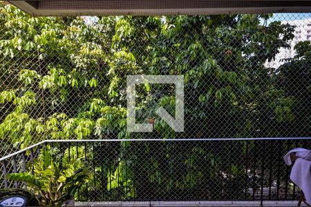 Apartamento à venda com 113m², 3 quartos e 2 vagasVista do Quarto 2