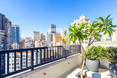 Apartamento à venda com 34m², 2 quartos e sem vaga Apartamento à venda com 34m², 2 quartos e sem vagaÁrea comum - Terraço