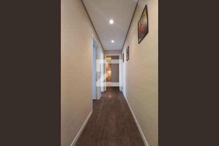 Corredor de apartamento para alugar com 2 quartos, 51m² em Jardim Ricardo, Campinas