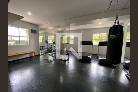 Apartamento para alugar com 58m², 3 quartos e 1 vagaÁrea comum - Academia