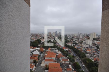 Vista do Quarto 1 de apartamento para alugar com 2 quartos, 37m² em Parque Vitória, São Paulo
