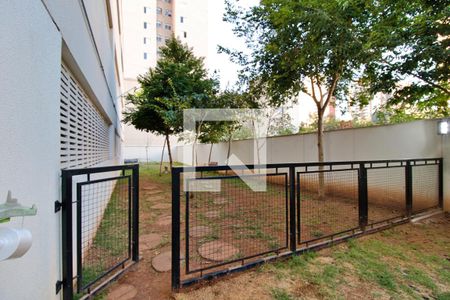 Apartamento para alugar com 50m², 2 quartos e 1 vagaEspaço Pet