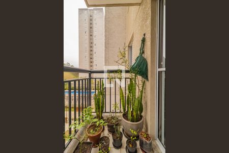 Varanda da Sala de apartamento para alugar com 2 quartos, 50m² em Vila Praia, São Paulo