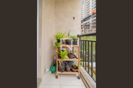 Varanda da Sala de apartamento para alugar com 2 quartos, 50m² em Vila Praia, São Paulo