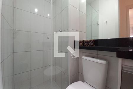 Banheiro de apartamento para alugar com 2 quartos, 50m² em Residencial Parque da Fazenda, Campinas