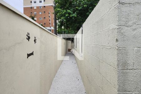 Apartamento para alugar com 52m², 2 quartos e 1 vaga Apartamento para alugar com 52m², 2 quartos e 1 vagaEspaço Pet