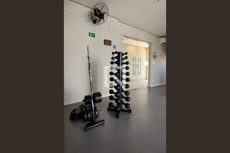 Apartamento para alugar com 81m², 2 quartos e 2 vagasÁrea comum - Academia