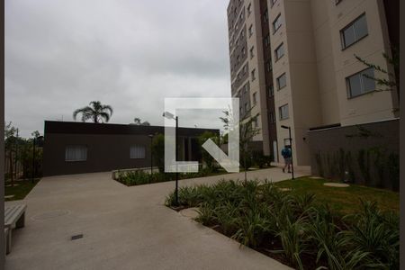 Área comum de apartamento para alugar com 2 quartos, 34m² em Guaianazes, São Paulo
