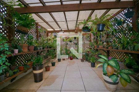 Apartamento à venda com 234m², 3 quartos e 2 vagasÁrea Comum - Orquidário