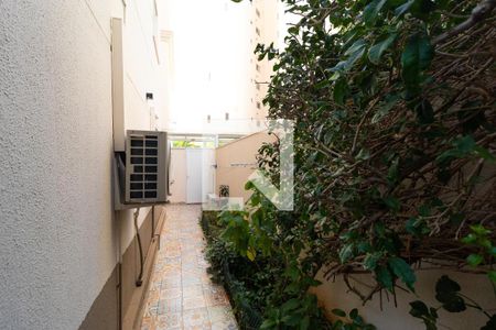 Apartamento à venda com 234m², 3 quartos e 2 vagasQuintal