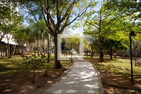 Apartamento à venda com 234m², 3 quartos e 2 vagasÁrea comum - Bosque