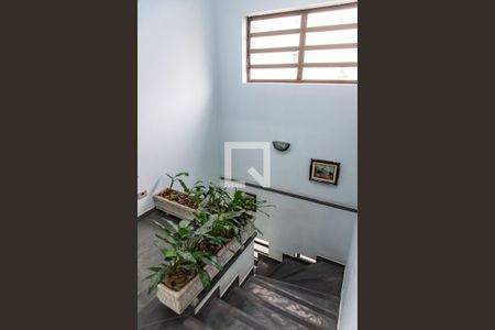 Casa para alugar com 240m², 8 quartos e 2 vagasEscada