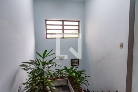 Casa para alugar com 240m², 8 quartos e 2 vagasEscada