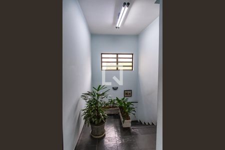 Casa para alugar com 240m², 8 quartos e 2 vagasEscada