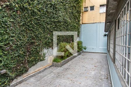 Casa para alugar com 240m², 8 quartos e 2 vagasQuintal