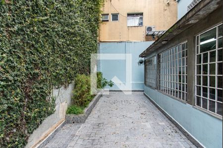 Casa para alugar com 240m², 8 quartos e 2 vagasQuintal