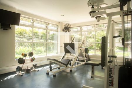 Apartamento à venda com 257m², 5 quartos e 4 vagasÁrea comum - Academia