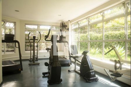 Apartamento à venda com 257m², 5 quartos e 4 vagasÁrea comum - Academia