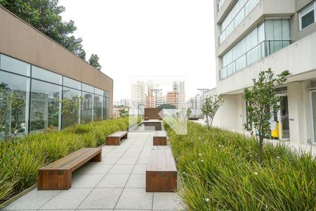 Apartamento para alugar com 50m², 1 quarto e 1 vagaÁrea de convivência