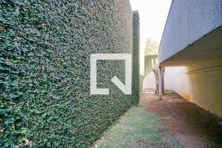 Apartamento para alugar com 92m², 2 quartos e 2 vagasÁrea Comum - Espaço Pet