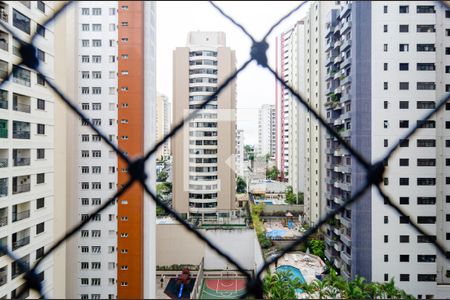 Vista da Varanda da Sala de apartamento para alugar com 2 quartos, 55m² em Vila Mascote, São Paulo