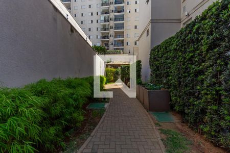 Área comum de apartamento para alugar com 2 quartos, 45m² em Maranhão, São Paulo