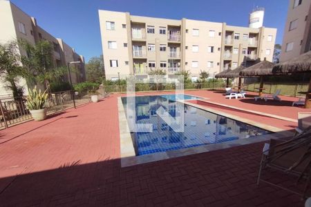 Área comum - Piscina de apartamento para alugar com 2 quartos, 49m² em Distrito de Bonfim Paulista, Ribeirão Preto