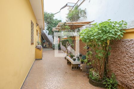 Casa à venda com 260m², 2 quartos e 3 vagasQuintal