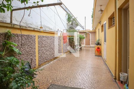 Casa à venda com 260m², 2 quartos e 3 vagasQuintal