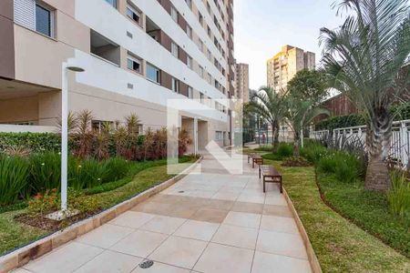 Apartamento para alugar com 53m², 2 quartos e 1 vaga Apartamento para alugar com 53m², 2 quartos e 1 vagaÁrea comum