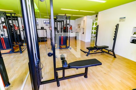 Apartamento para alugar com 75m², 2 quartos e 1 vaga Apartamento para alugar com 75m², 2 quartos e 1 vagaÁrea comum - Academia