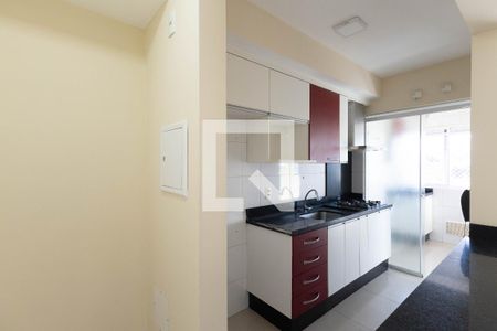 Cozinha - Armários de apartamento para alugar com 2 quartos, 64m² em Vila Maria, São Paulo