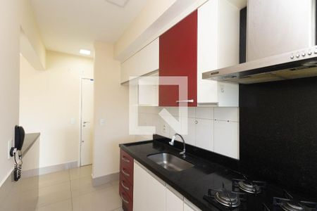 Cozinha - Armários de apartamento para alugar com 2 quartos, 64m² em Vila Maria, São Paulo
