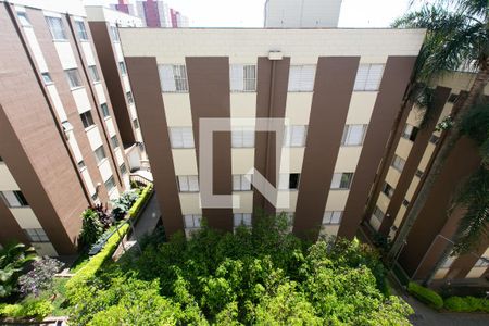Vista do Quarto 1 de apartamento à venda com 2 quartos, 56m² em Vila Carmosina, São Paulo